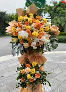 Lập nghiệp may mắn - OL1428