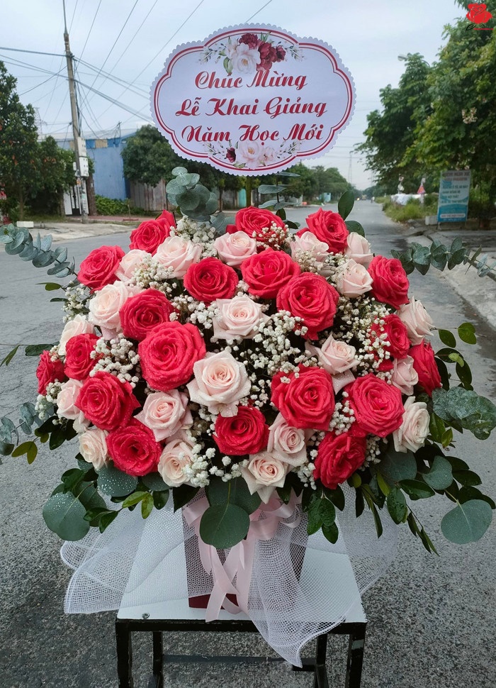 Chúc mừng lễ khai giảng - OL1603